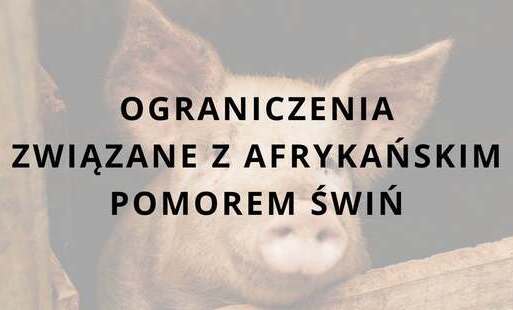 Zdjęcie do Ograniczenia związane z afrykańskim pomorem świń (ASF) I strefa niebieska