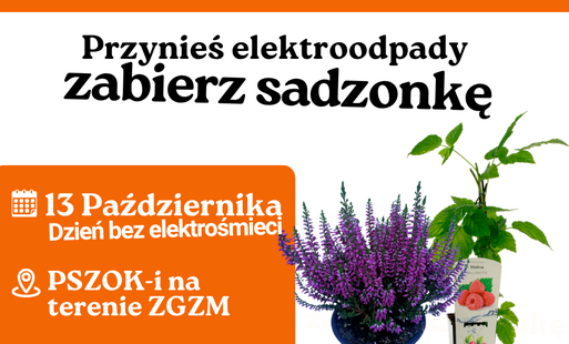 Zdjęcie do Związek Gmin Zagłębia Miedziowego i Polkowicka Dolina Recyklingu świętują na PSZOK-ach! 