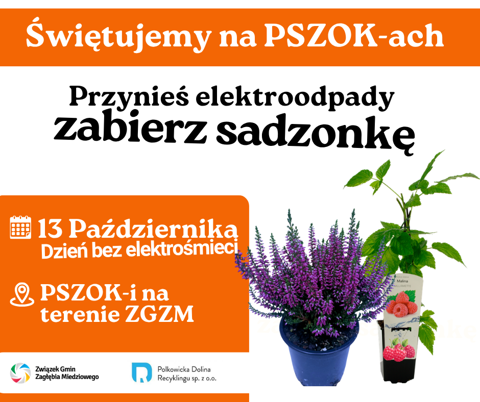 Zdjęcie artykułu z dnia 07-10-2026