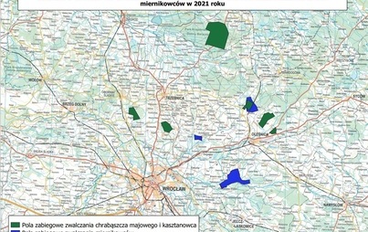 Zdjęcie do Informacja o planowanym przeprowadzeniu zabieg&oacute;w ratowniczych drzewostan&oacute;w wysokich z wykorzystaniem sprzętu agrolotniczego